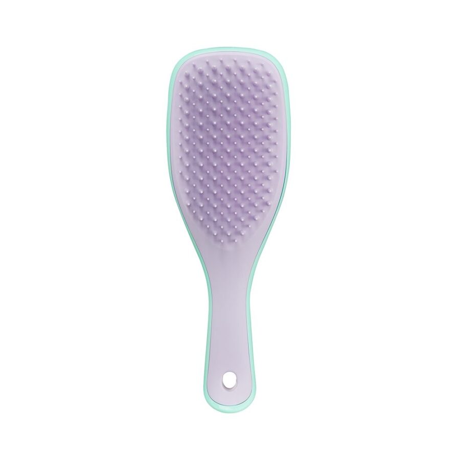 Щітка для волосся Tangle Teezer The Ultimate Detangler Mini Wisteria Leaf · салатовий і бузковий